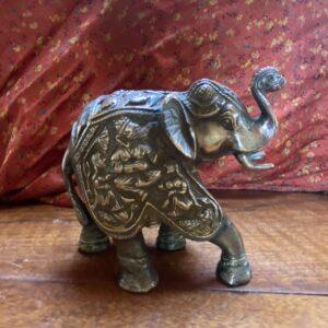 elephant gros laiton 3