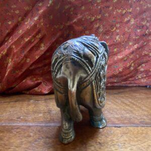 elephant gros laiton 4