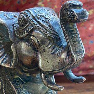 elephant gros laiton 7
