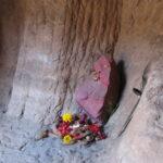 pandava gufa pachmari india